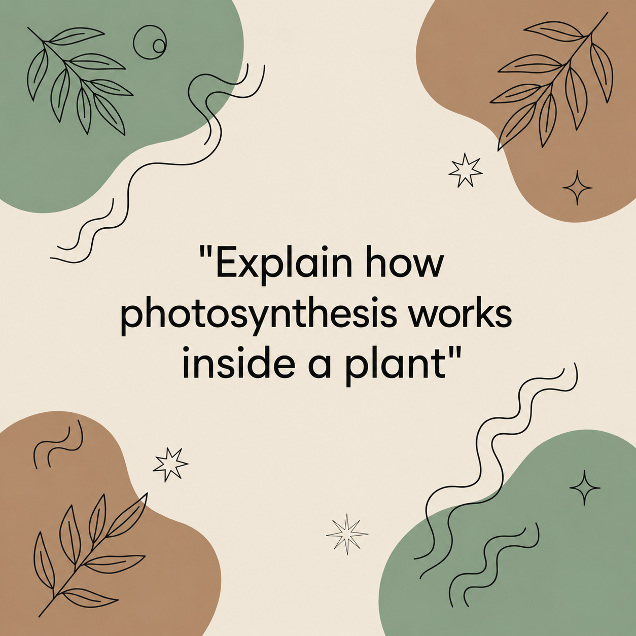 Explain how photosynthesis works inside a plant